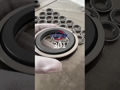 301 Μηχανική σφραγίδα με ένα ελατήριο( Αντικατάσταση Aesseal B01, Bt-Ar, Flowserve 118, Mut Fa για το Cyclan B01