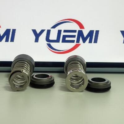 CH 2-20/30 12mm for Grundfos Pump Aqqe Pump Cr μηχανική σφράγιση