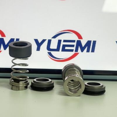CH 2-20/30 12mm for Grundfos Pump Aqqe Pump Cr μηχανική σφράγιση